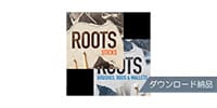 TOONTRACK / SDX BUNDLE - ROOTS ダウンロード納品