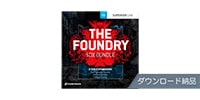 TOONTRACK / SDX BUNDLE - THE FOUNDRY ダウンロード納品