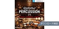 TOONTRACK / SDX - ORCHESTRAL PERCUSSION ダウンロード納品