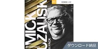 TOONTRACK EZ MIX2 PACK - MICK GUZAUSKI