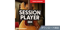 TOONTRACK EBX - SESSION PLEYER