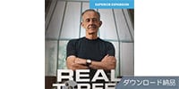 TOONTRACK / SDX - Real to Reel ダウンロード納品