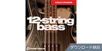 TOONTRACK / EBX - 12-String Bass ダウンロード納品