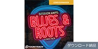 TOONTRACK / MIX PACK - Session Amps Blues & Roots ダウンロード納品