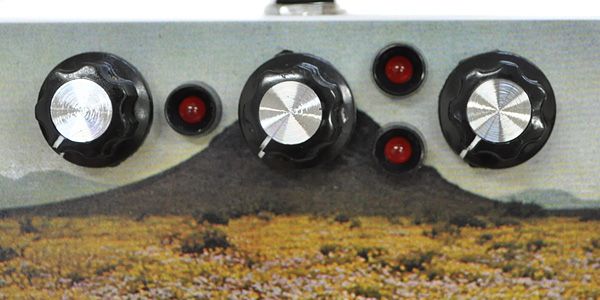 TSVG PEDALS / Babbling Flower Fuzz 画像3