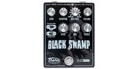 THORN SOUNDLABS / BLACK SWAMP