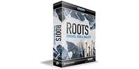 TOONTRACK SDX ROOTS - BRUSHES, RODS & MALLETS