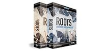 TOONTRACK SDX ROOTS BUNDLE