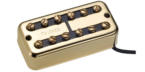 TV JONES ( ティーヴィージョーンズ )  / TV Classic Bridge Gold Universal Mount