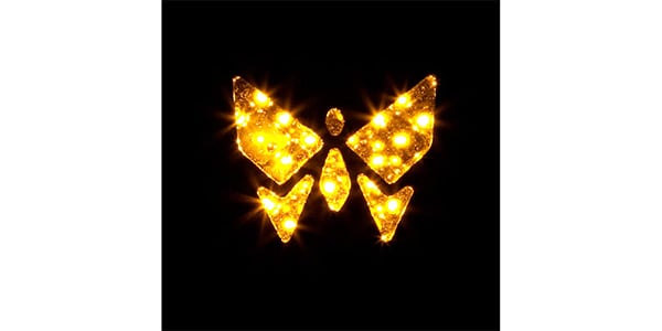 TWA(Totally Wycked Audio) / DM-02 DYNAMORPH画像2