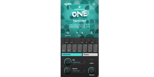 UJAM / Groovemate One画像2