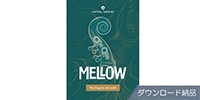 UJAM Virtual Bassist Mellow ダウンロード納品