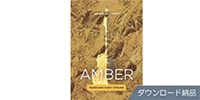 UJAM Virtual Guitarist Amber ダウンロード納品