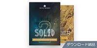 UJAM / Pop Bundle (Solid, Amber) ダウンロード納品