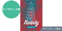 UJAM / Virtual Bassist Rowdy アップグレード版 ダウンロード納品