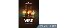 UJAM Virtual Pianist VIBE ダウンロード納品