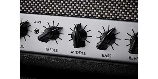 Victory Amps / 	Deputy Compact Head画像2