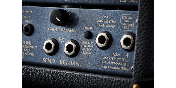 Victory Amps / VX Kraken MKII Wooden Sleeve画像5