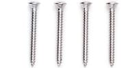 Vega-Trem / Screws for VT1 standard Chrome & Satin