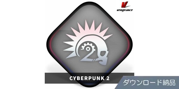 VENGEANCE SOUND ( ベンジェンスサウンド )  / CYBERPUNK 2 ダウンロード納品