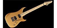 VIGIER VE-6CVS4T Maple Monarchy Gold