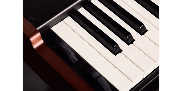 VISCOUNT ( バイカウント ) / Legend ONE 73 Red Walnut color finishing画像3