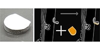 VIVACE / Thumb pad for clarinet and oboe