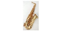 VICTORY MUSICAL INSTRUMENTS / VSAX-RAGP Alto Saxophone Gold-plated