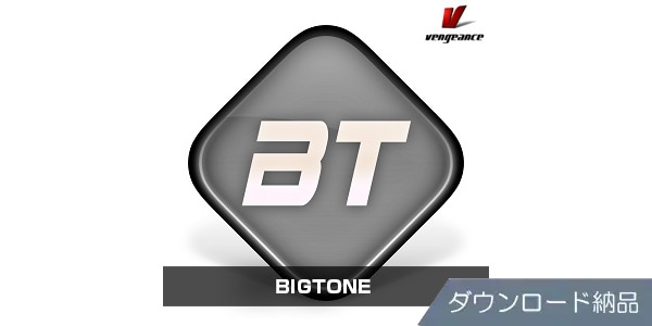 VENGEANCE SOUND / BIGTONE Download Delivery