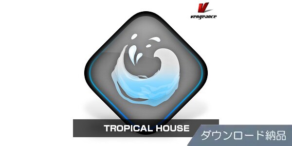 VENGEANCE SOUND / TROPICAL HOUSE download delivery