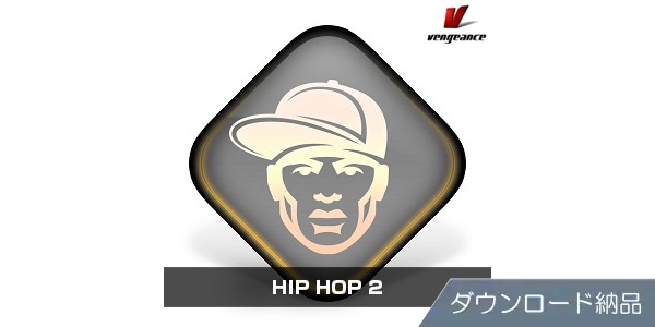 VENGEANCE SOUND / HIP HOP 2 Download Delivery
