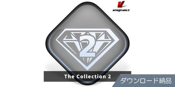 VENGEANCE SOUND ( ベンジェンスサウンド )  / The Collection 2 ダウンロード納品