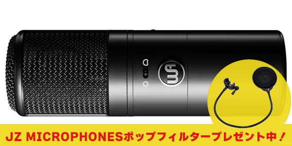 WARM AUDIO / WA-8000