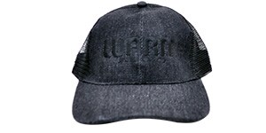  Trucker Ball Cap - Warm Audio Bug - Black