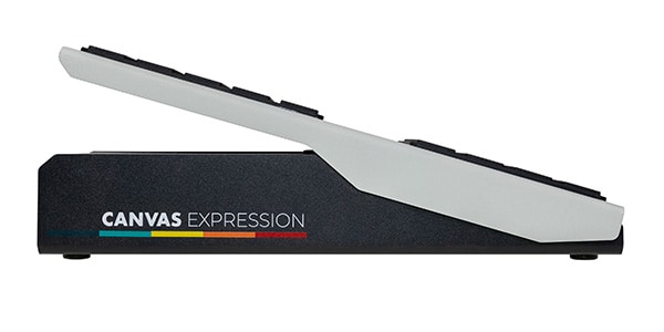 Walrus Audio ( ウォルラスオーディオ )  / Canvas Expression Pedal画像4