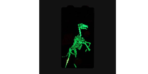 Walrus Audio ( ウォルラスオーディオ )  / Iron Horse LM308 Distortion Halloween 2022画像5