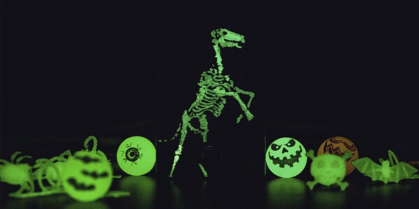Walrus Audio ( ウォルラスオーディオ )  / Iron Horse LM308 Distortion Halloween 2022画像7