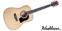 WASHBURN / D5