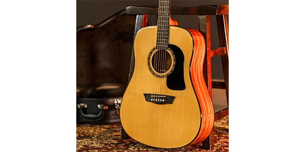 WASHBURN / D5画像2