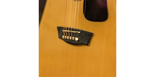 WASHBURN / D5画像3