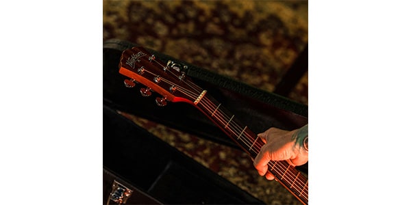 WASHBURN / D5画像6