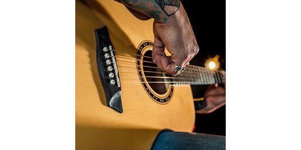 WASHBURN / F5画像3