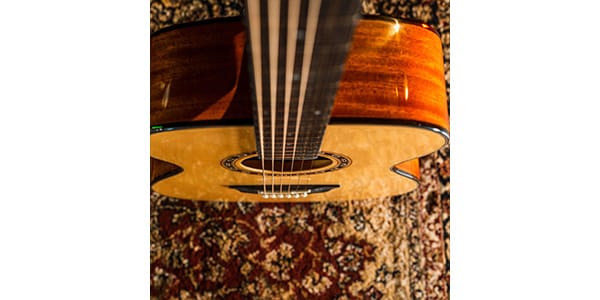 WASHBURN / F5画像4