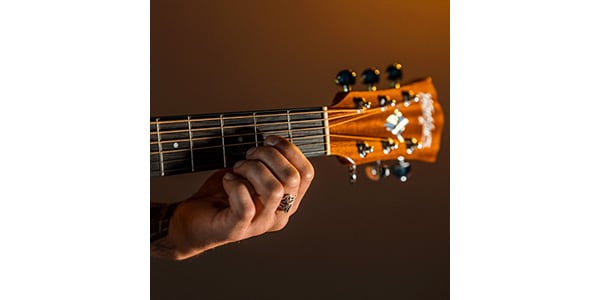 WASHBURN / F5画像5