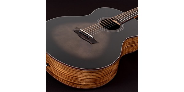 WASHBURN / NOVO S9画像2