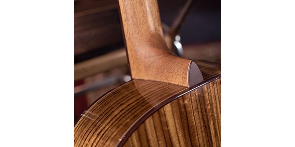 WASHBURN / NOVO S9画像4