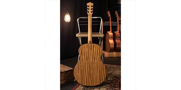 WASHBURN / NOVO S9画像6