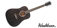 WASHBURN / DEEP FOREST　EBONY D
