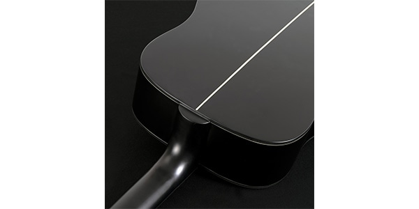 WASHBURN ( ウァッシュバーン )  / DEEP FOREST　EBONY D画像3