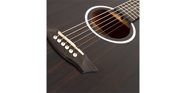 WASHBURN ( ウァッシュバーン )  / DEEP FOREST　EBONY D画像4
